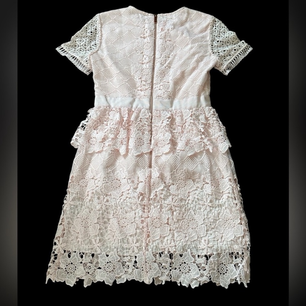 Ted baker Elegant Pink Lace Dress - Picture 5 of 10